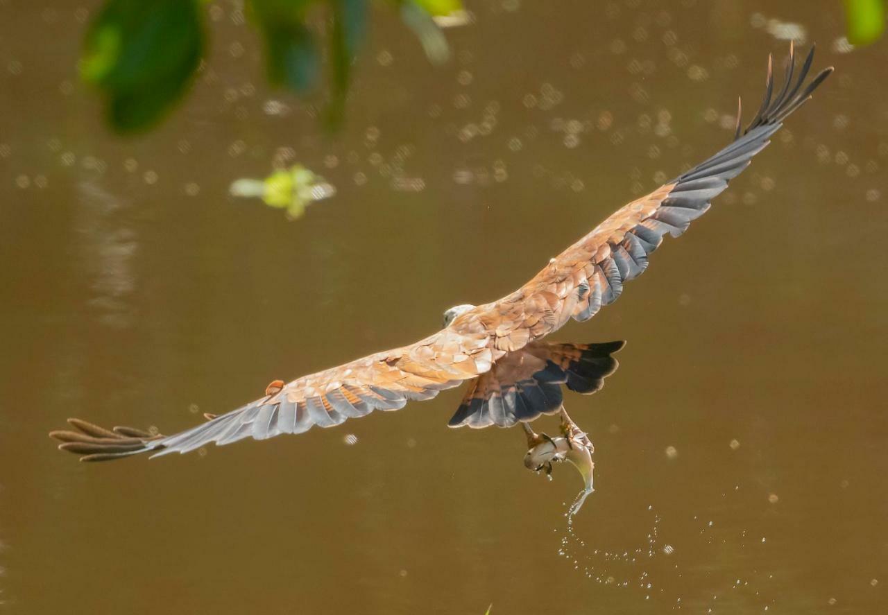 Grand Amazon Lodge And Tours Paraíso Eksteriør bilde